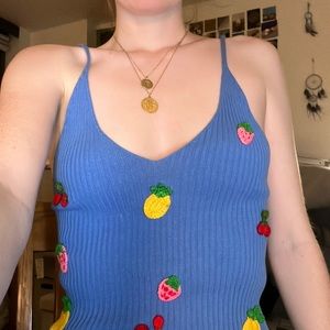 Zara Blue Fruit Top